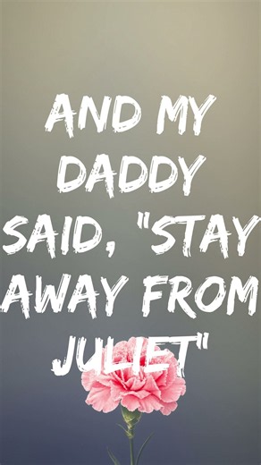 Taylor Swift - Love Story (Lyrics)