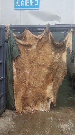 The First Step in Leather Making You've Never Seen