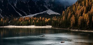Preservação da natureza. As florestas naturais funcionam melhor para a captura do CO2