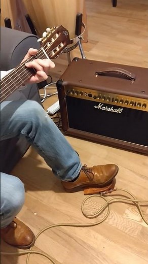 Ortega Annalog stomp box
