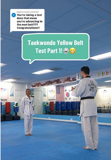 Taekwondo Yellow Belt Test: Part 1 Journey