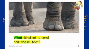 Raz kids Level B 下