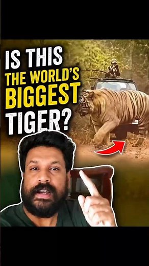 chota dadiyal #animals #animalfacts #facts #kannada