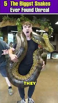 5 BIGGEST Snakes in the World — Giants So Large They Redefined Fear 😳🐍