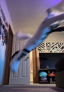 🇨🇦Tiko (@tiko.wolf)’s videos with Meth Head FreeStyle - FAN ACCOUNT!!!