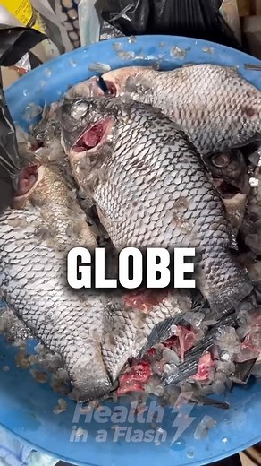 1.1M views · 10K reactions | 11 Fish Facts You Never Knew #health #healthylifestyle #healthtips #nutritiontips The content on this page is for informational purposes only and not intended to diagnose, treat, or cure any medical condition or be considered medical advice from our side. Consult a physician / medical professional if you need health advice. | Health in a Flash | Facebook