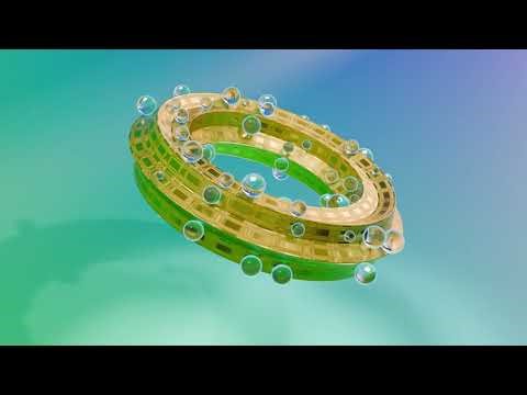 Golden Rotating Donut (Blender)