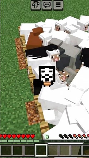 Minecraft Noob vs Pro vs Hacker in shearing sheep...#minecraft #noobvsprovshacker #shorts