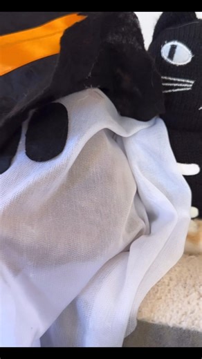 14K views · 707 reactions | be careful when taking naps during spooky season … you might wake up as a ghost | Max & the Rescues | Facebook