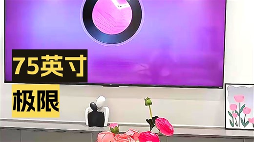 【电视推荐】TCL雷鸟电视鹏626款65英寸144Hz高刷MEMC运动补偿3+64GB内存94%P3色域高端VA面板智能液晶大屏家用影音客厅爆款型号65S68A