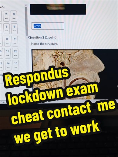 Respondus lockdown exam cheat contact me we get to work#proctoredexam #student #lockdownbrowser #lockdownprotocol #proctoredexam