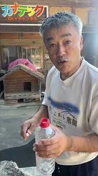 [Curry Spoon] How to remove the cap #Triumph #Tips