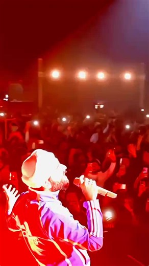 Arijit Singh Live in Concert Experience