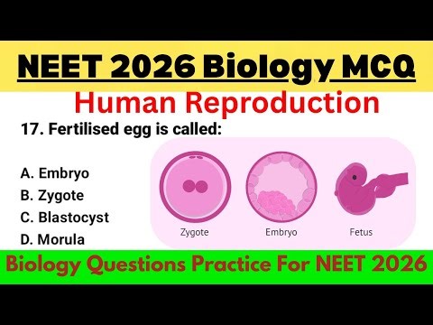 Human Reproduction MCQs Class 12 | NEET 2026 Biology | Top MCQs for Exam