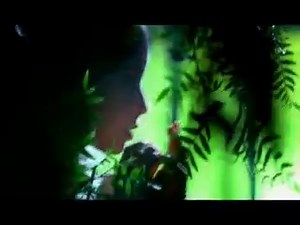SOAD-Question klipp