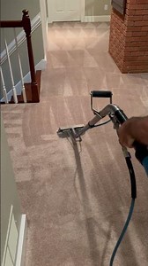 Professional Carpet Cleaning in Collierville, TN | Deep Hot Water Extraction Results