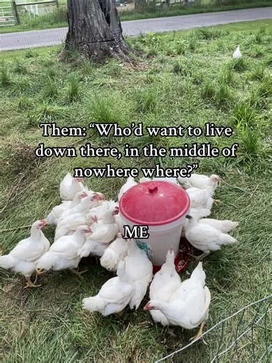 Embrace Simple Living in the Country Life