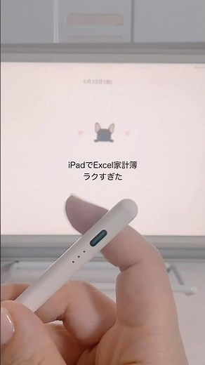 【iPadでExcel家計簿】ラクすぎた #シングルマザー #家計簿 #家計管理