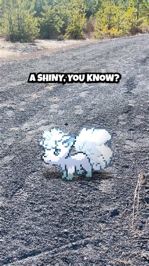 Nico Papalia on Instagram: "I tried doing what you guys chose, but unfortunately it just was not possible… At least we stopped Pangoro before he decimated all of the wild Pokémon in the area 😬 Sometimes I feel like it's one step forward, two steps back when training my Pokémon… Has anyone else experienced setbacks like this when trying to add new Pokémon to your team? I had an easier time with Makuhita, Mankey, and Riolu since they are all pure fighting type 😅 when it comes to Shroomish and Pa