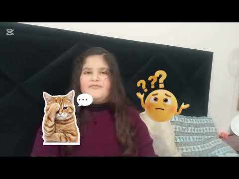 Zumer is in masti mood today😂|copy cat 😺|key chain collection