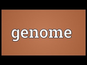 Genome Meaning