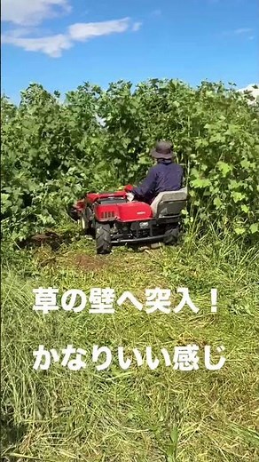 自分より背が高い草を、和同産業の乗用草刈り機BM21Sで一気に刈ってみました🌱🚜✨結果は…圧倒的パワーでスッキリ綺麗に！まるで草が消えていくみたいでした😂さすがBM21S