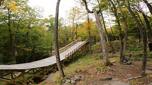 The Coolest Downhill MTB Jump Line You've Never Seen