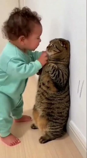 KID SCOLDS CAT: “DON’T SCRATCH!” 😂🐱😳