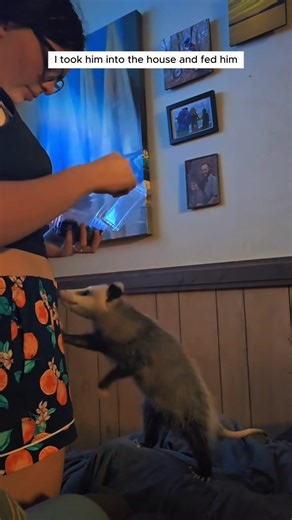 Rescuing a tiny baby mouse 🐭 | Feeding and caring with love ❤️ | FUNIMALS Shorts