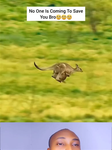 Life Lessons to Learn From One Inspiring Video