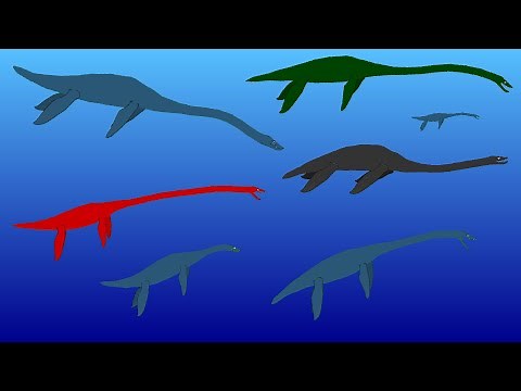 Sea Monsters - Plesiosaur Size Comparison - Extinct Plesiosaurus
