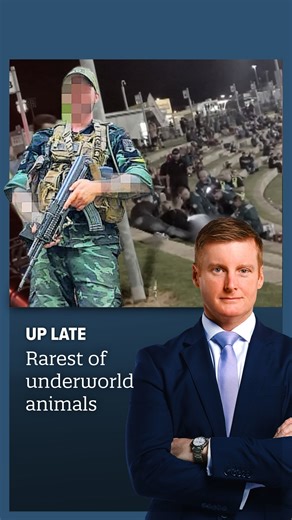 Cop surveillance of sniper makes one hell of a home movie | The West Australian