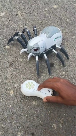 Rc Remote Control Big Size Spider 🕷️ #toys
