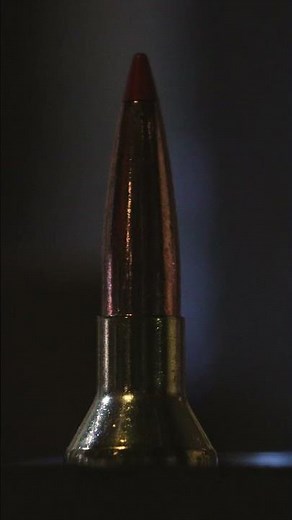 Federal Premium Fusion Tipped in the Factory