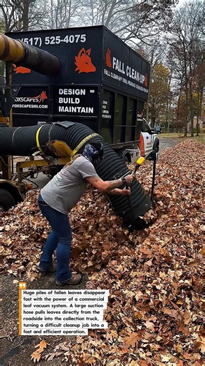 Powerful Leaf Vacuum Cleanup 🔥 #LeafCleanup #Landscaping #Construction