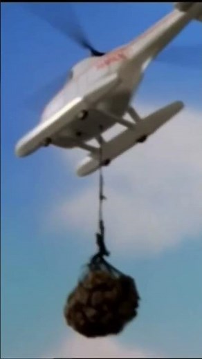 A bad day for Harold