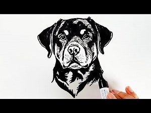 How to Draw a Rottweiler Dog