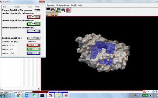 Autodock Vina分子对接完整步骤