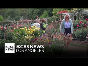 The Huntington Library, Art Museum, and Botanical Gardens | Let's Go Places