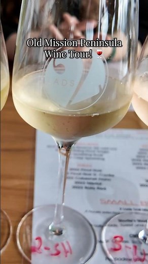Old Mission Peninsula Winery Tour! 🍇