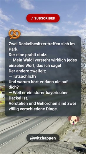 🐶 Gehorsam beim Dackel #witze #lustig #comedy #humor #lachen #shorts #deutschland #fürdich