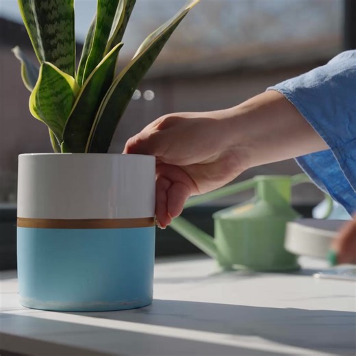 Make the most of every drop by putting a saucer under your indoor plants or even reuse any leftover water to give them a drink 華 | Anglian Water - Love Every Drop | Facebook