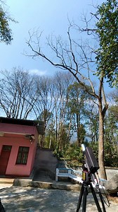 376K views · 2.1K reactions | Laser Cannon: Full Tree-Cutting Process | Redcoast Laser | Facebook