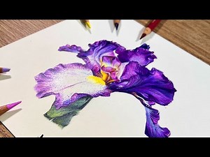 ✸ Techniques for Drawing Flowers ✸ Bearded Iris