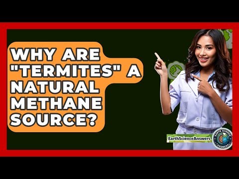 Why Are "termites" A Natural Methane Source? - Earth Science Answers