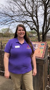 5.1K views · 152 reactions | Wallowing warthogs ... check. Rhinos snacking ... of course. This Tour Tuesday we invite you to join us from the comfort of your home as we explore the Mary K. Chapman Rhino Reserve. | Tulsa Zoo | Facebook