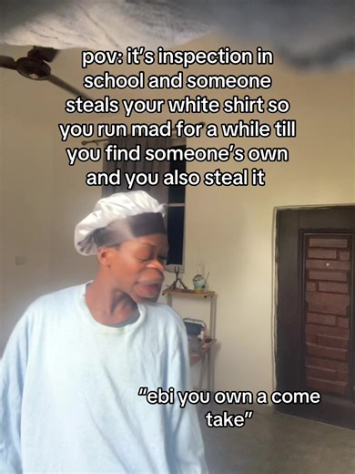 School Inspection Madness: A Humorous POV Story