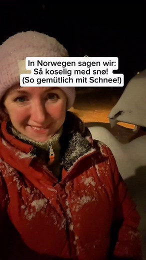 36K views · 4.1K reactions | In Norwegen einfach nur hyggelig – in...