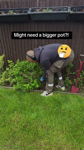 Moving a few bits around. Surprised it's lasted! #bentandwonky #garden #plants #flower #gardening