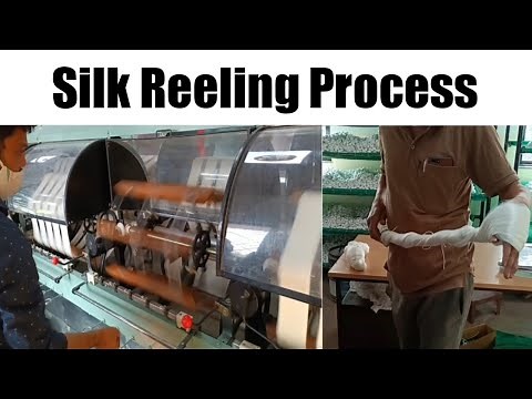 Silk thread reeling/extraction from cocoons.